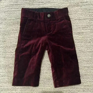 NWOT 3-6 Janie and jack maroon velvet velour infant/baby pants